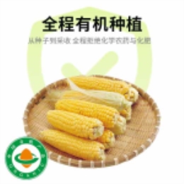 【周末买二赠一】头茬水嫩水果玉米550g（去皮）-上海