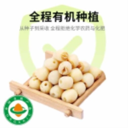 有机白莲子米240g-上海