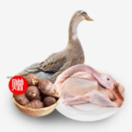 【中秋买赠】崇明老麻鸭1kg送芋艿400g-上海