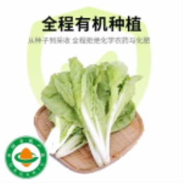 【买一送一】有机杭白菜400g-上海