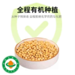有机黄豆389g-上海