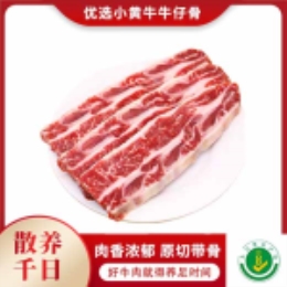优选小黄牛牛仔骨500g-上海