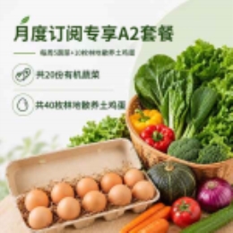 月度订阅专享A2套餐-上海