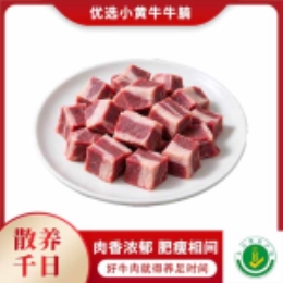 优选小黄牛牛腩500g-上海