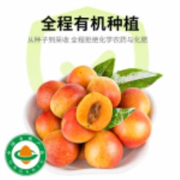 【产地直发】有机小红杏（3到5天到货）-上海