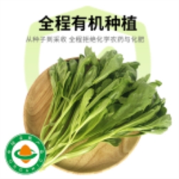 大叶茼蒿400g-上海