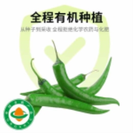 有机小米辣椒（青）50g-上海