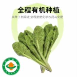 【丑蔬菜】虫眼杭白菜400g-上海