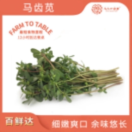 【当季鲜食】马齿苋400g-上海