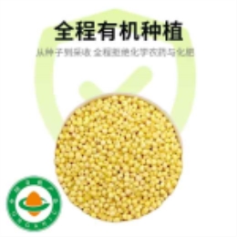 有机大黄米300g--上海