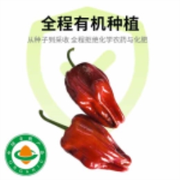 红色微辣泡椒400g-上海